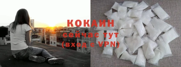 мдпв Богданович